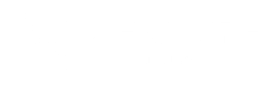 Zenture IT Solutions - Logo 2